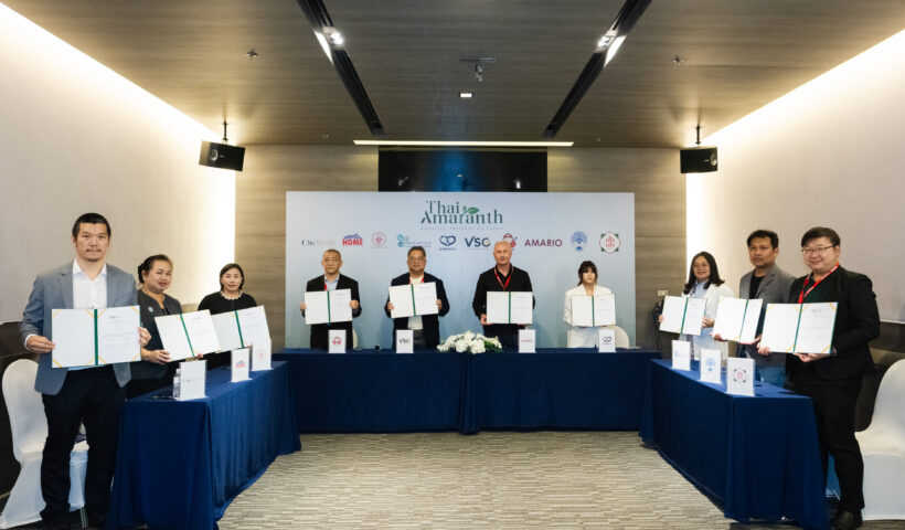 “Thai Amaranth” จุดประกายพืชไทยสู่เวทีโลก: VSC จับมือพันธมิตร ลงนาม MOU ในงาน THAIFEX 2568 เปิดตัวซุปเปอร์ฟู้ดสายพันธุ์ไทยอย่างเป็นทางการ