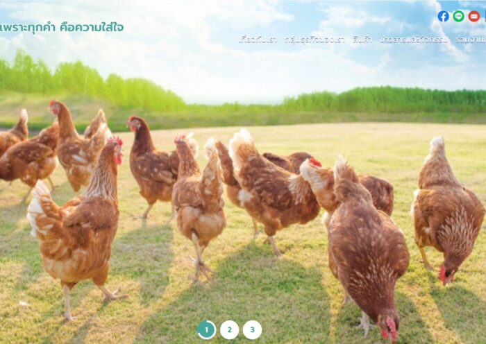 เกษมชัยฟู้ด เตรียมความพร้อมเพิ่มกำลังการผลิตไข่ไก่ปลอดกรง 3 เท่า ตั้งเป้าผลิต 100 ล้านฟองกลางปี 2569 รองรับความต้องการตลาด