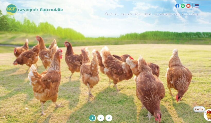 เกษมชัยฟู้ด เตรียมความพร้อมเพิ่มกำลังการผลิตไข่ไก่ปลอดกรง 3 เท่า ตั้งเป้าผลิต 100 ล้านฟองกลางปี 2569 รองรับความต้องการตลาด