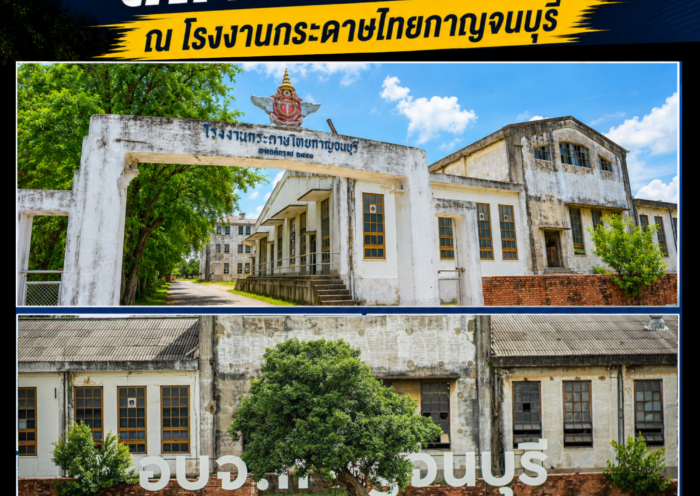 อบจ.กาญจนบุรี เดินหน้าส่งเสริม Soft Power จัดวิ่งกลางคืนธีมภาพยนตร์ ต่อยอดภาพลักษณ์เมืองแห่งการถ่ายทำภาพยนตร์